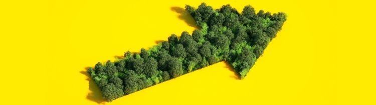 jaunes